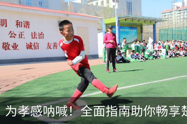 为孝感呐喊！全面指南助你畅享楚超雄狮之战